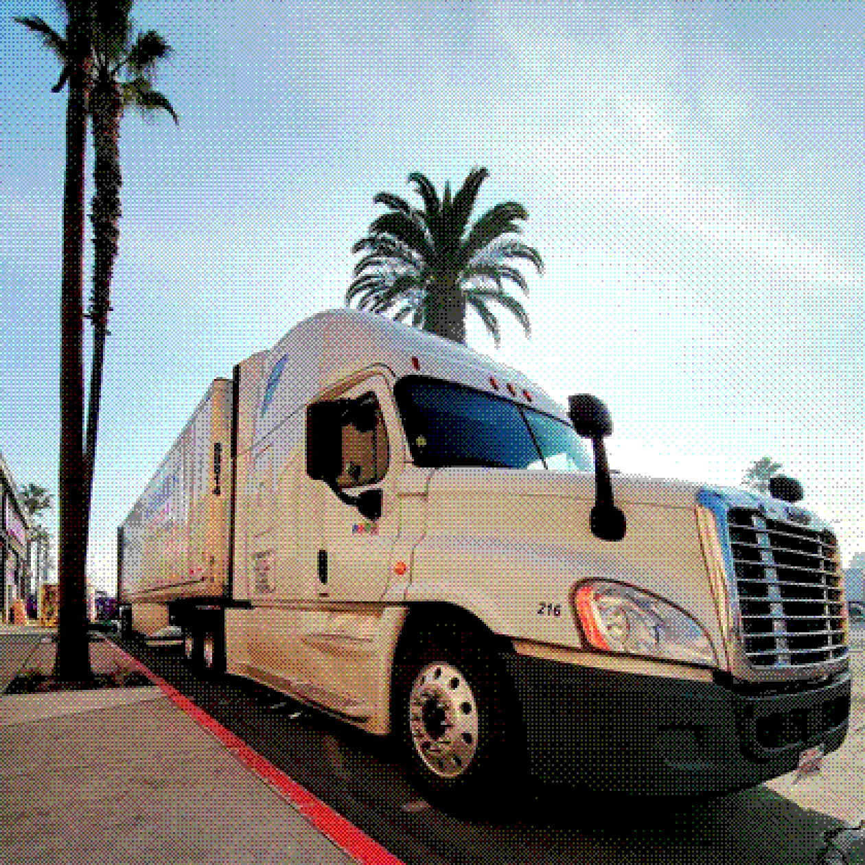A white Bay Transport tractor and trailer parked under palm trees on a California street.